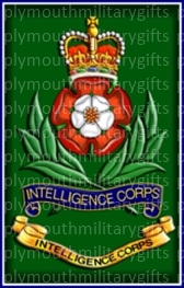 Intelligence Corps